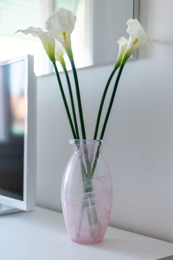 Ca Misericordia Apartment Venice Ngoại thất bức ảnh